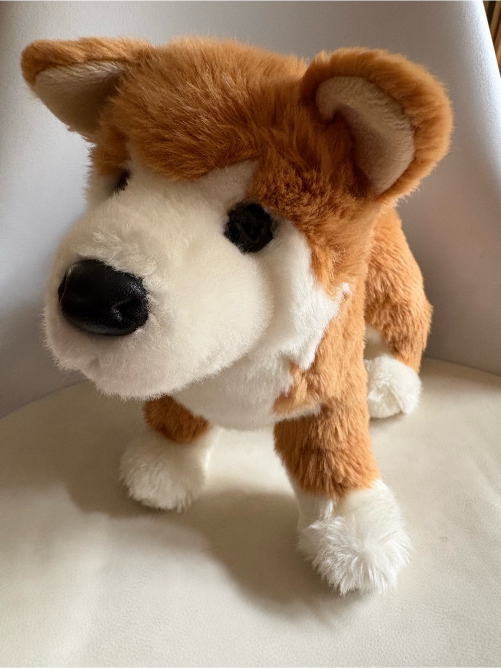 Authentic Douglas Cuddle Toys “Dunham” the Shiba Inu Dog Plush Stuffed Anima